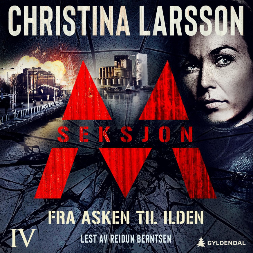 Seksjon M Av Christina Larsson Nedlastbar Lydbok Norskeserier 